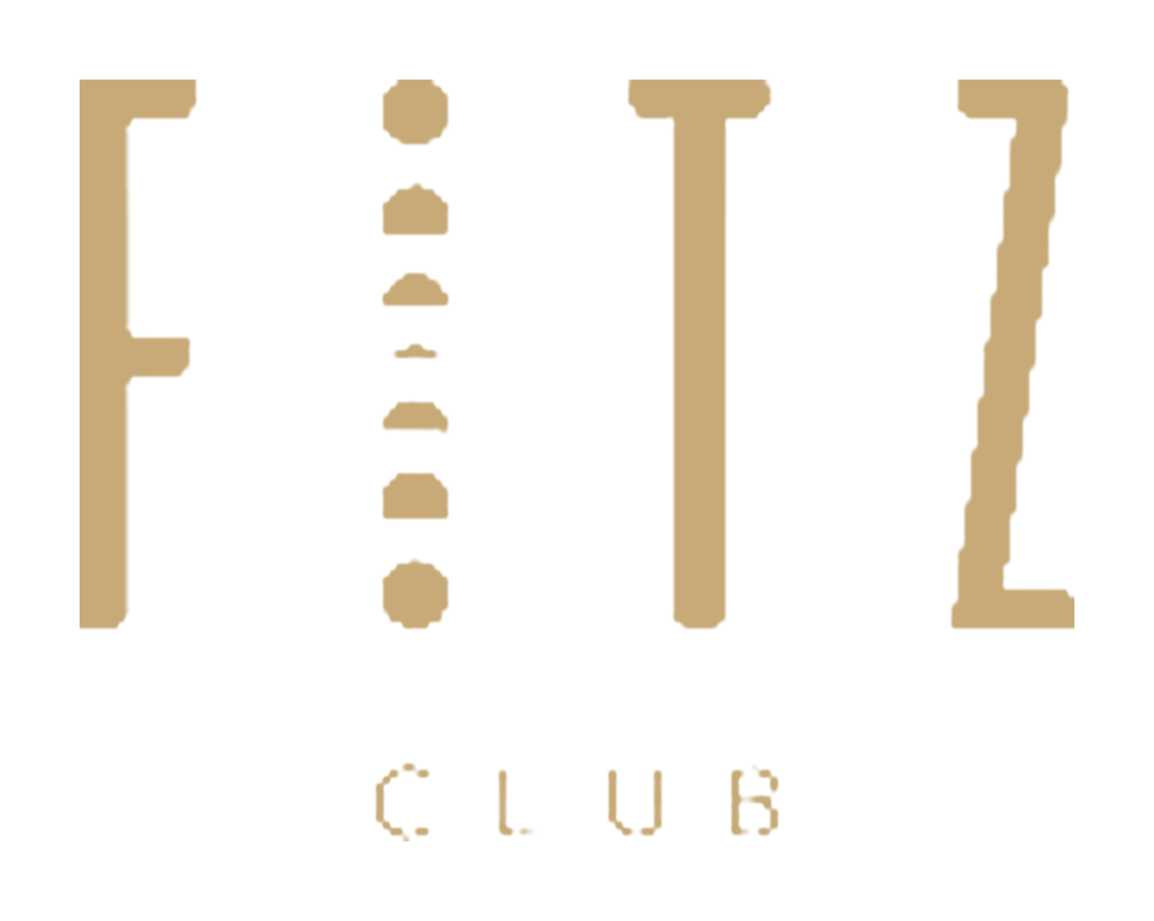 FITZ Madrid logo